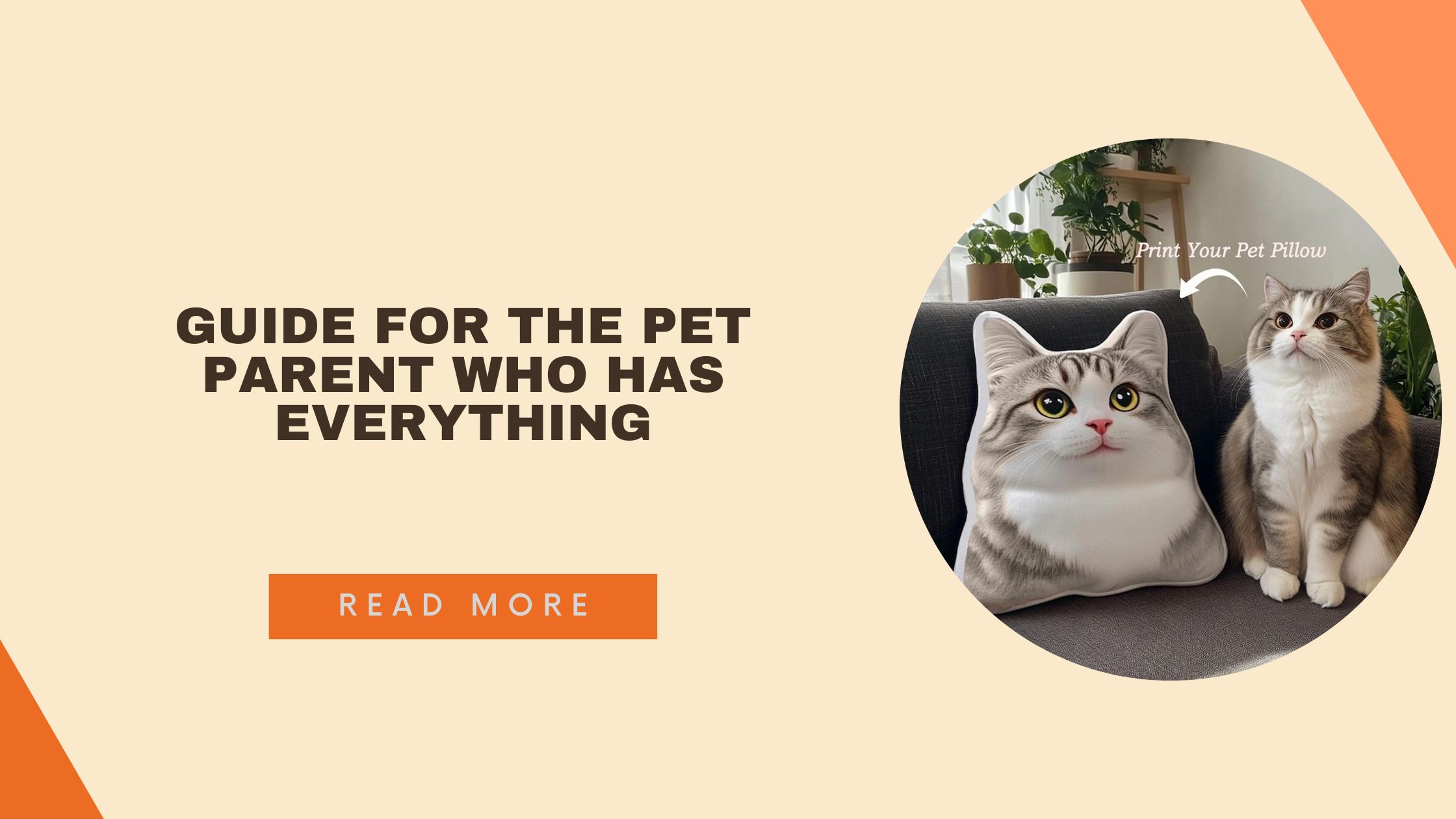 Beyond the Basic Bowl: The Ultimate Gift Guide for the Pet Parent Who Has Everything